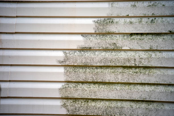 Custom Trim and Detailing for Siding in Fletcher, NC